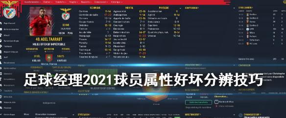 挑选足球梦工厂球员攻略，打造最优秀阵容