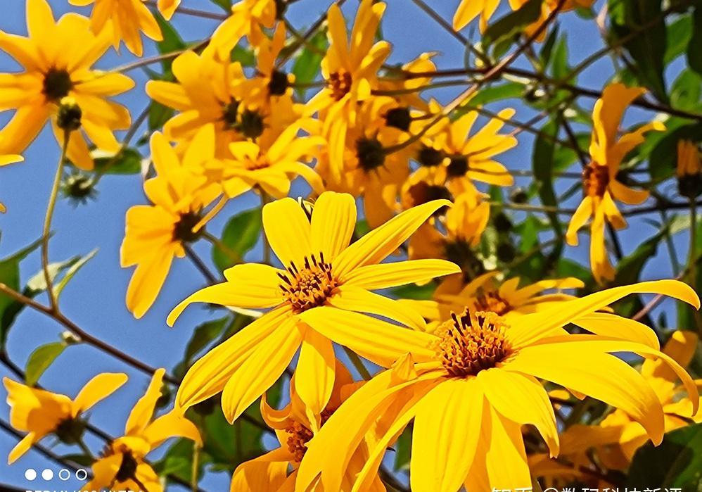 小米5高清开箱：细节揭秘，2.5D玻璃+红外线遥控