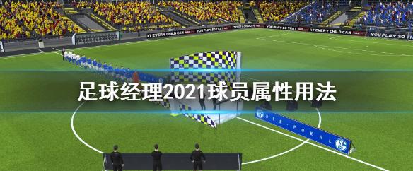 足球梦工厂如何挑选球员？攻略来袭！