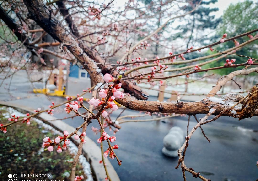 小米5高清开箱：细节揭秘