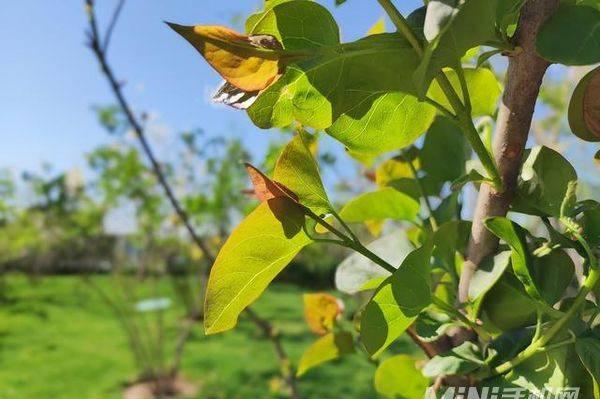 小米5评测：黑科技惊喜与失望