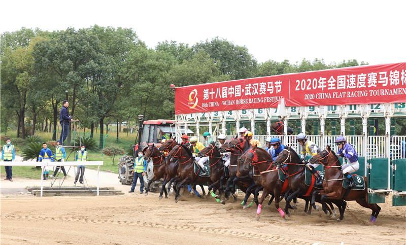  2023长马赛事路线
