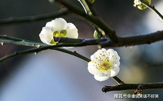 处所的处是什么意思_处qy是什么意思_处qy处vy的是什么意思