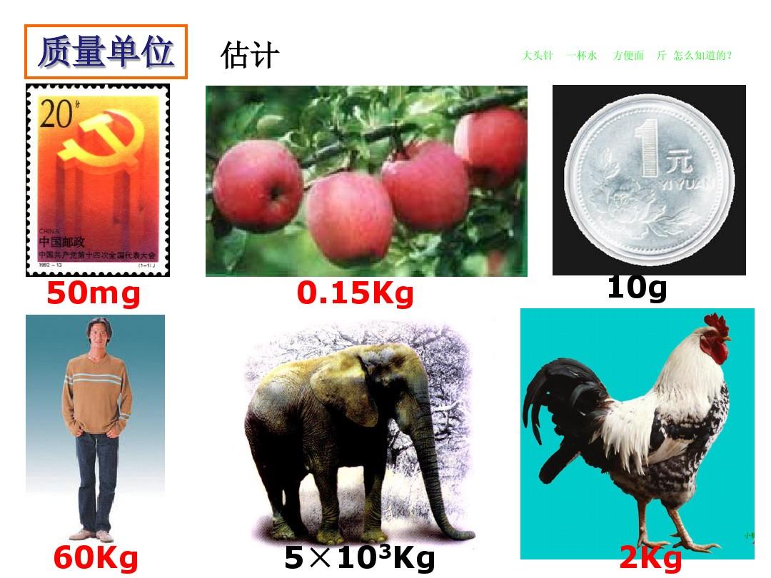 jfxdwt_dwt 单位_dwt风机