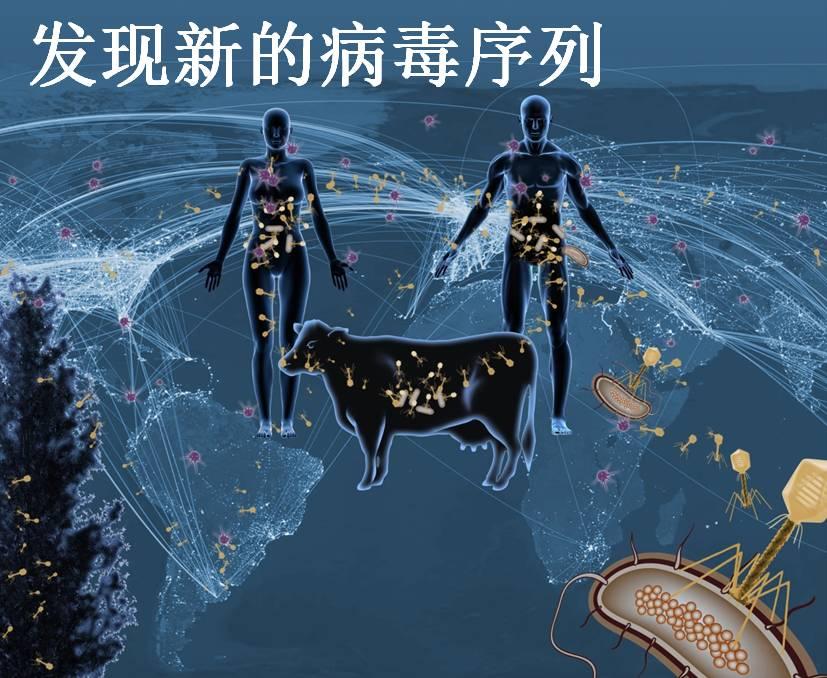 犇牛病毒360可以杀吗_最近牛病毒_犇牛病毒 lpkdll专杀工具