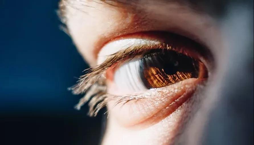 用有时候有时候造句二年级_eyepower有用吗_用有的有的有的造句