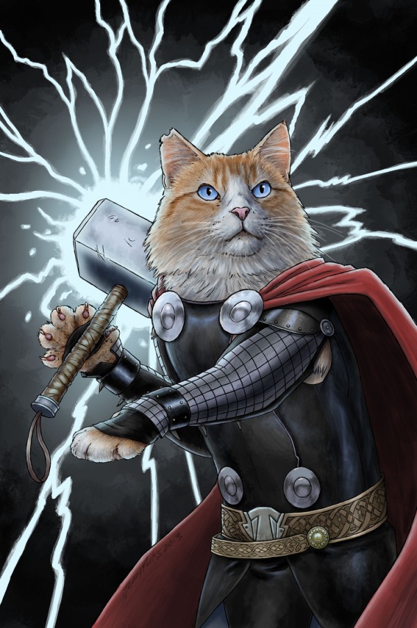 猫超级掉毛怎么处理_超级猫_猫超级密码