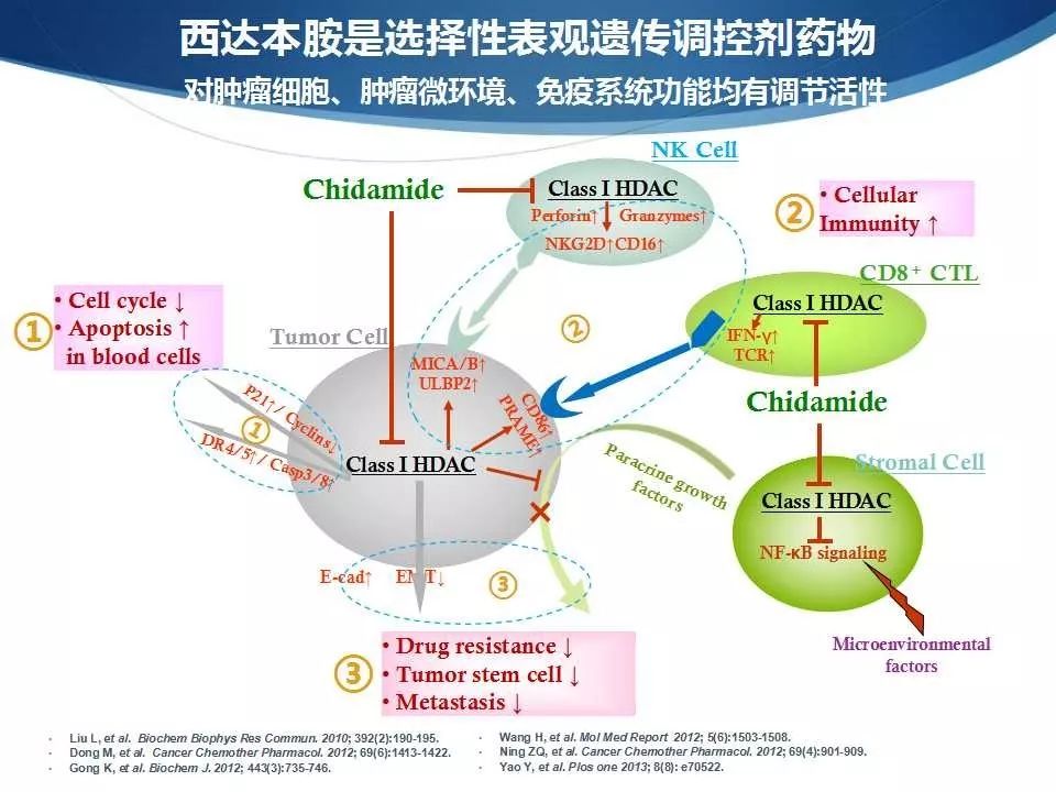 恒瑞 pd 1 研究报告_报告研究恒瑞pd1是什么_恒瑞pd1是仿制药还是原研药