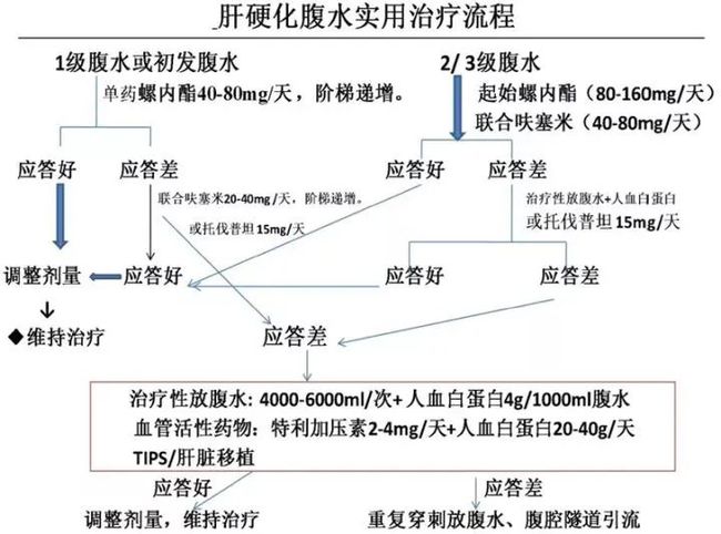 肝腹水在饮食上注意些什么呢_肝腹水饮食注意什么_肝腹水如何注意饮食