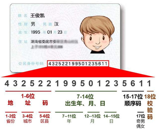 证件号填写图片