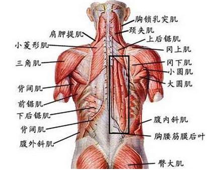 后背疼痛呼吸困难_深呼吸后背疼痛_后背疼痛呼吸不畅