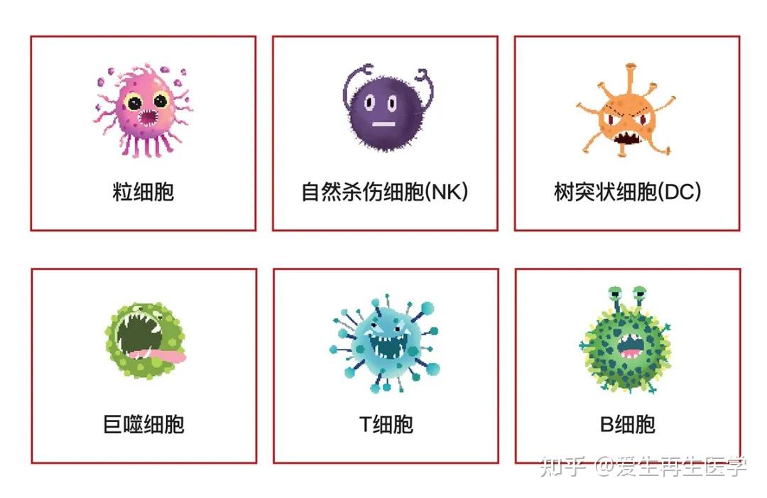 恒瑞抗肝癌药_肝癌恒瑞pd1疗效_恒瑞 pd 1 肝癌