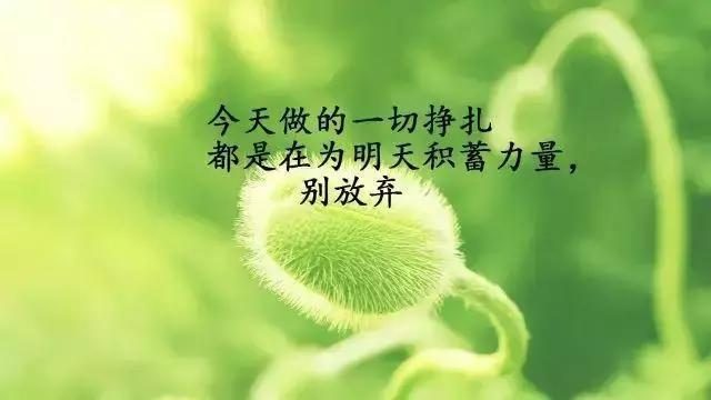 net framework 35安装失败_framework安装失败_失败安装图