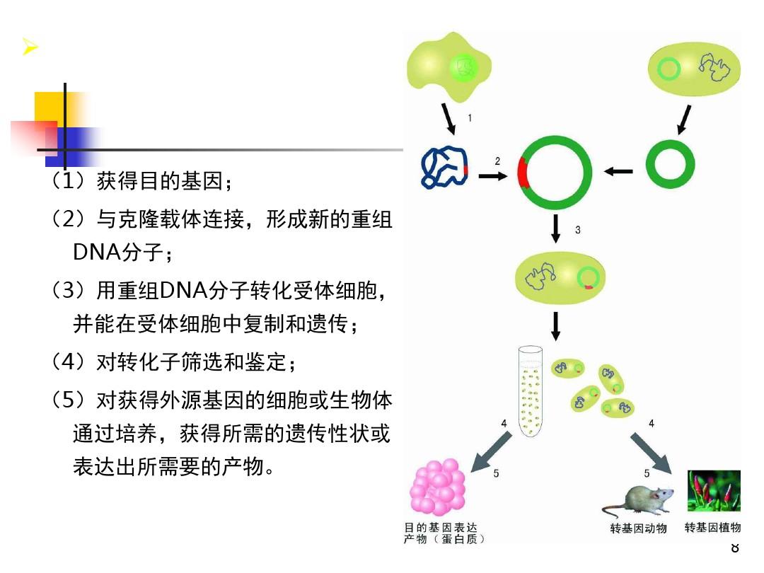 nuke clone_nuke clone_nuke clone
