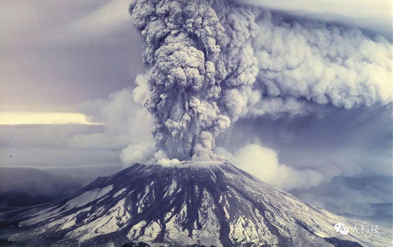 麦浚龙风林火山什么时候上映_麦浚龙新片《风林火山》定剪_风林火山 麦浚龙