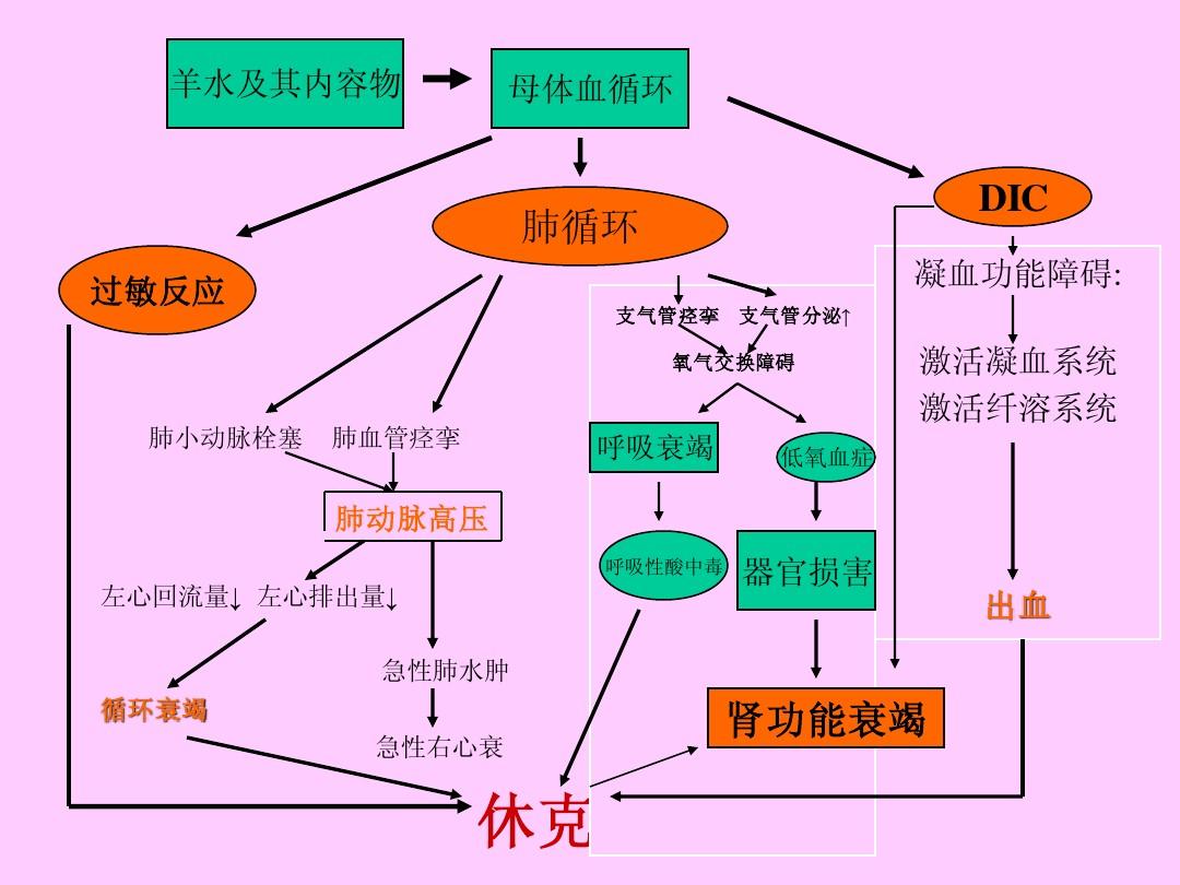 呼吸衰竭分型百度百科_呼吸衰竭的定义及分型_呼吸衰竭定义和分类