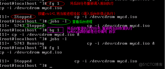 命令方块指令_wmiprvse.exe kill命令_命令提示符