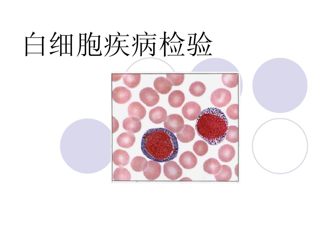 常见的血液科疾病_血液科常见的5大疾病_血液科常见的5大疾病简称