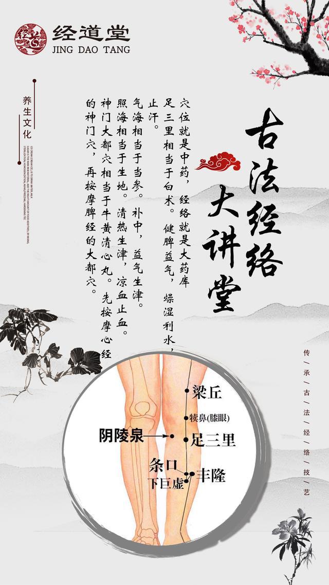 健康之路之中医治胃病_老中医论治胃病_中医帮你治胃病