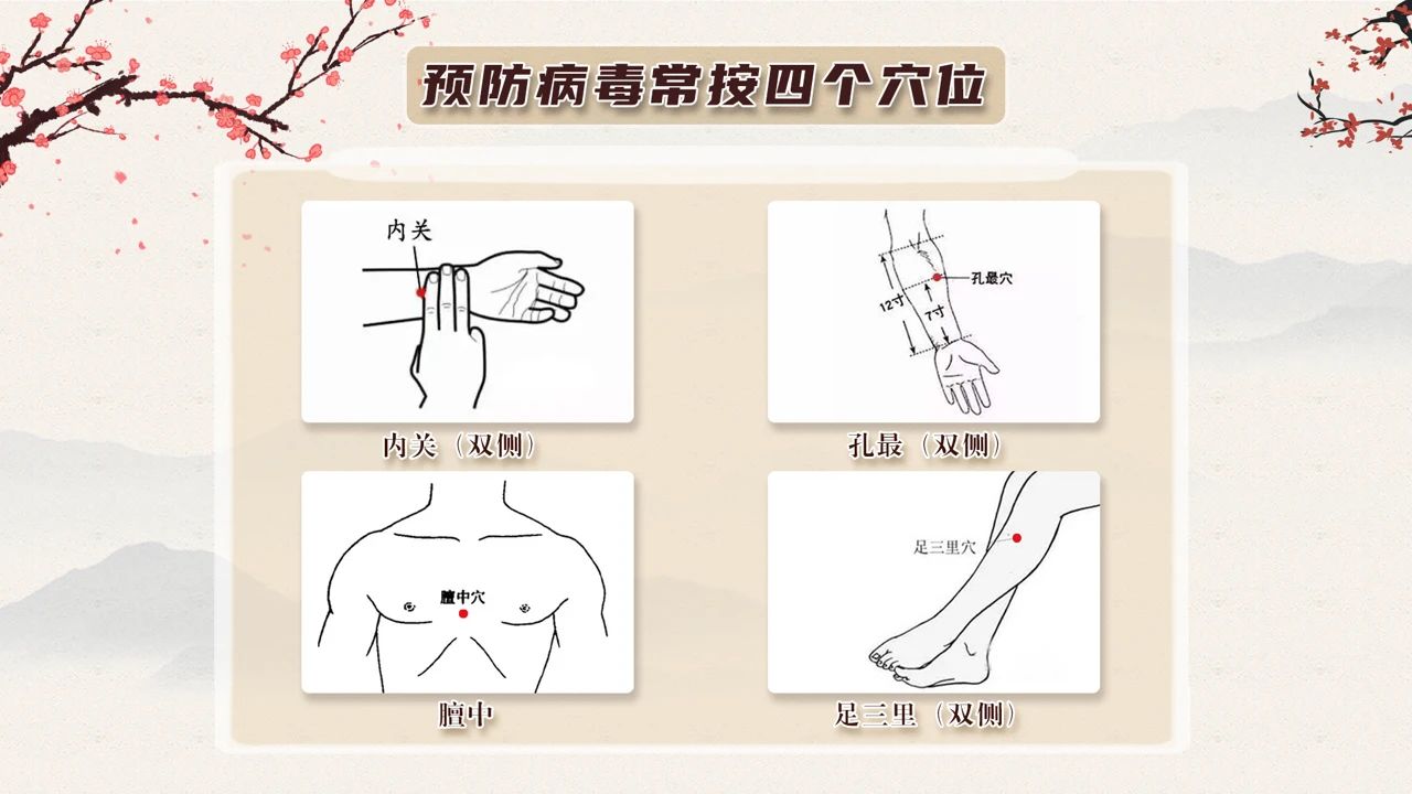 老中医论治胃病_健康之路之中医治胃病_中医帮你治胃病