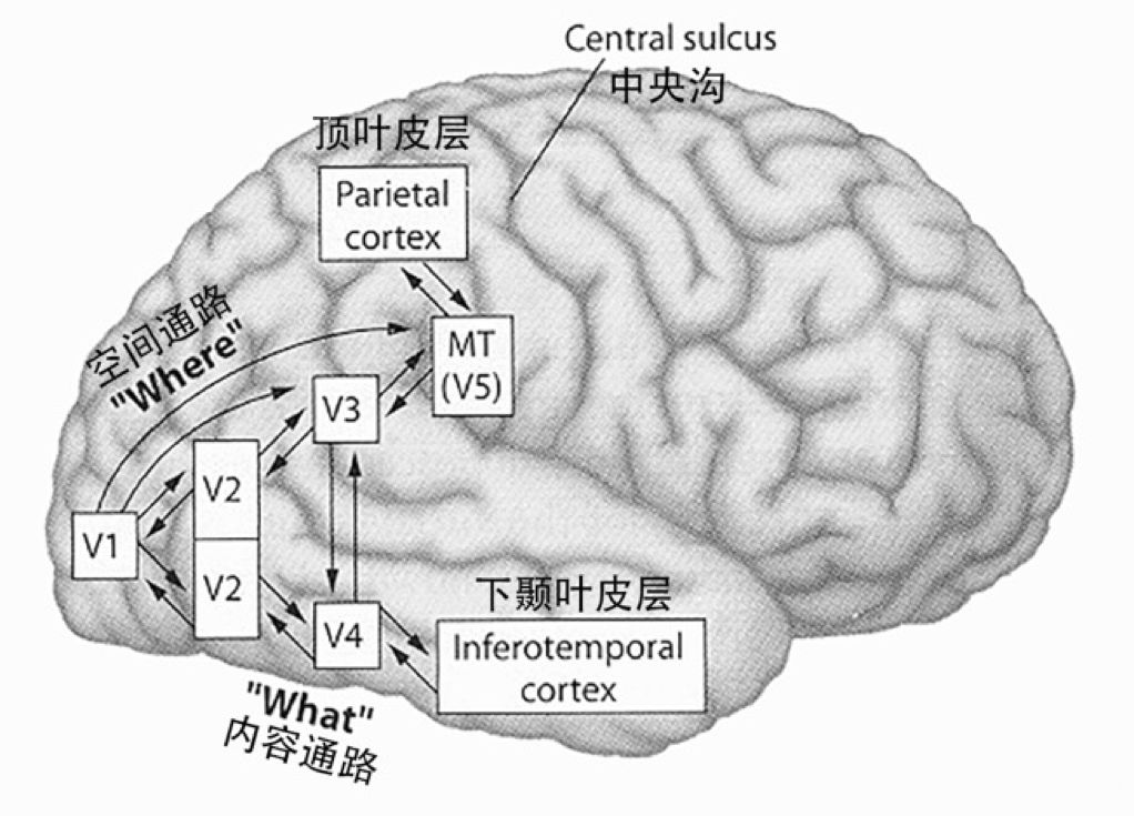 arcmap路径分析_arcscene怎么制作路径_arcscene三维路径析