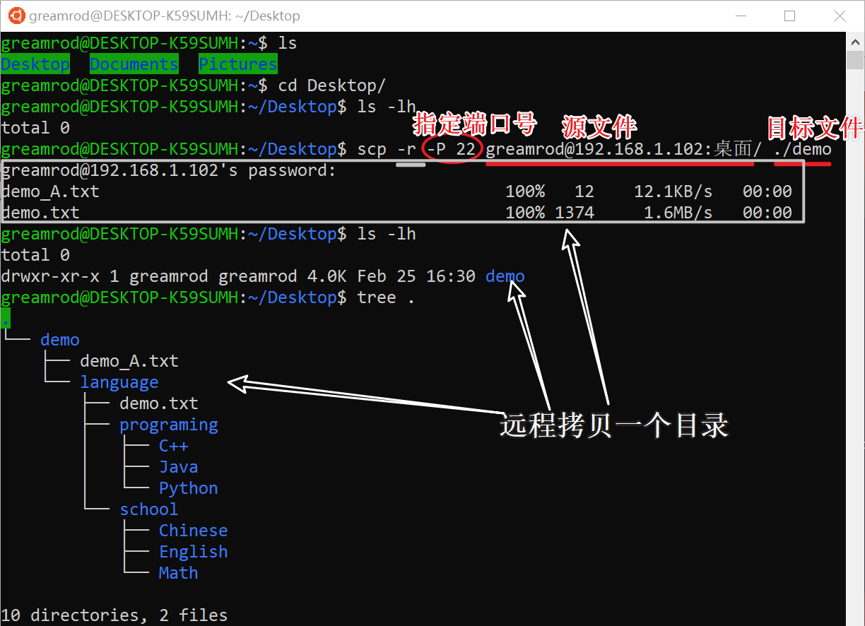 linux c 创建文件夹_创建文件夹linux_创建文件夹的linux命令