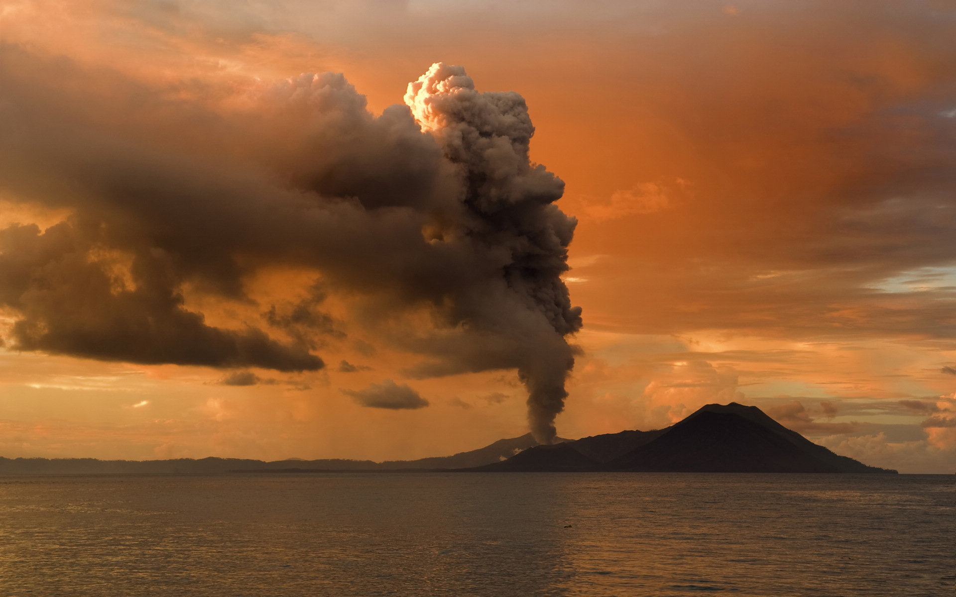 火山风林公司_火山风林店铺_风林火山 thunder