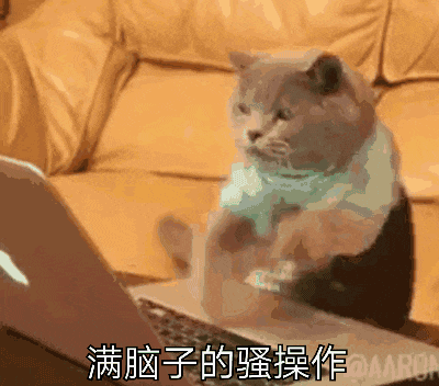姓名身份证号码手机号_真实姓名手机号身份证号_证姓名号码身份手机号怎么查