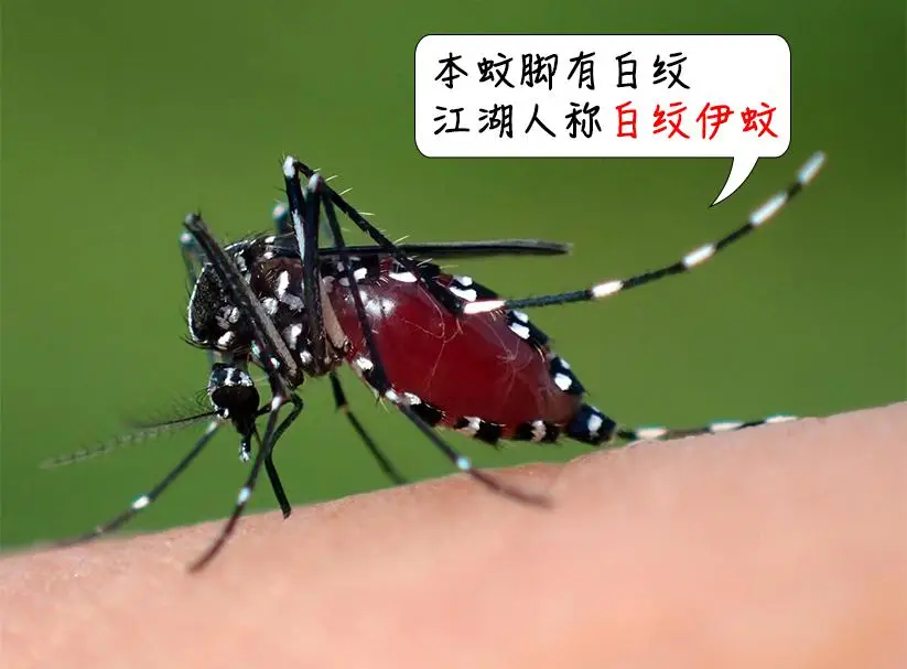 买到缩水u盘怎么办_买到u盘缩水办法是什么_u盘缩水后怎样修复