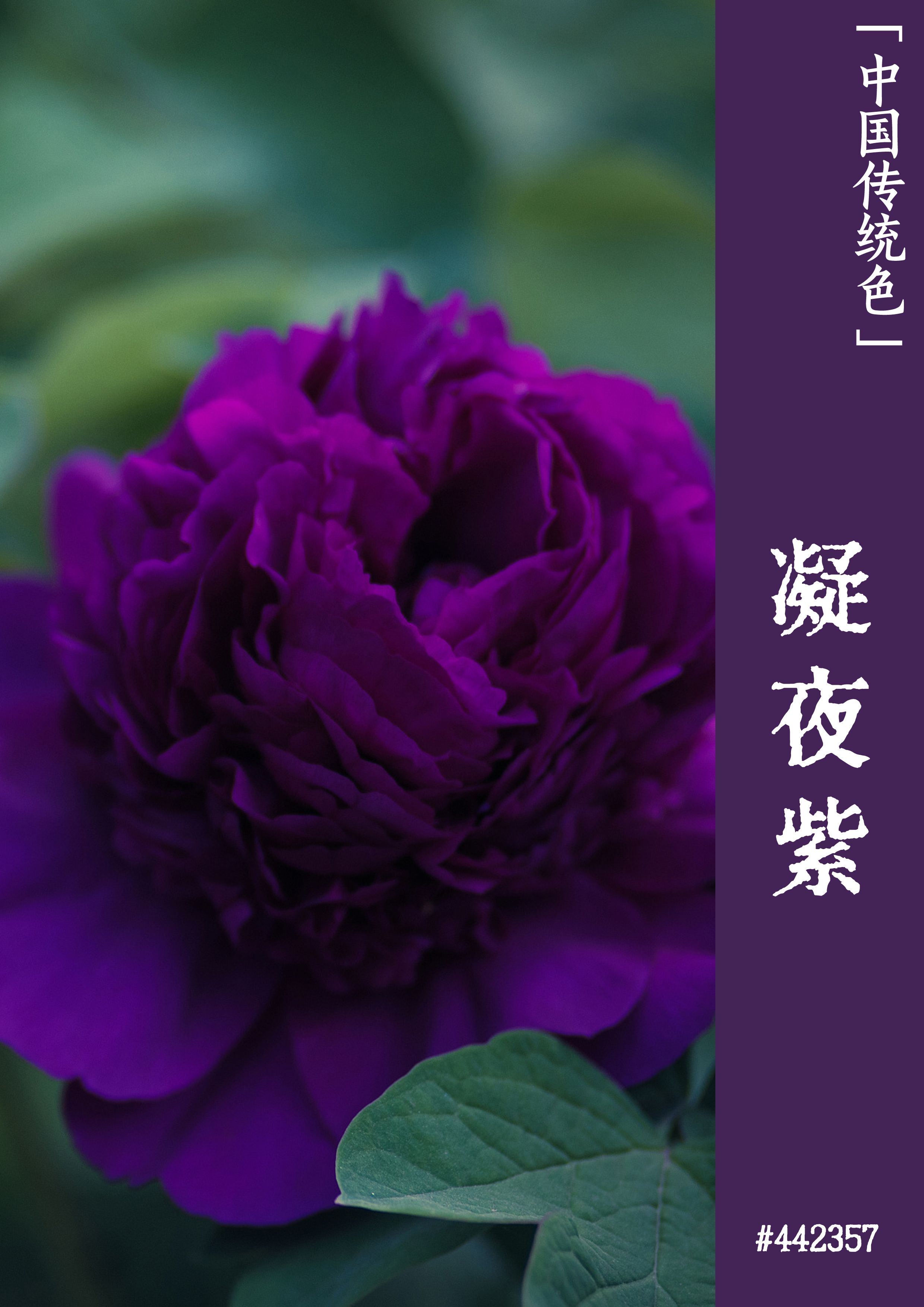 完整的汽车电控系统_电控汽车系统工作原理_汽车电控系统