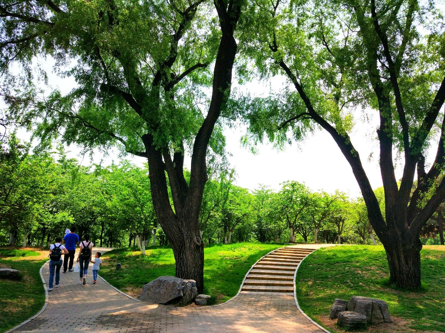 朝阳区双桥中路北院1号_北京市朝阳区双桥中路_朝阳区双桥中路一号