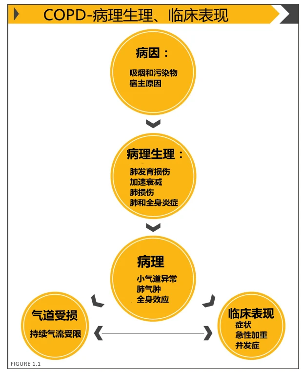呼吸衰竭定义及可能原因_造成呼吸衰竭的病原体_呼吸衰竭是由于各种原因引起的