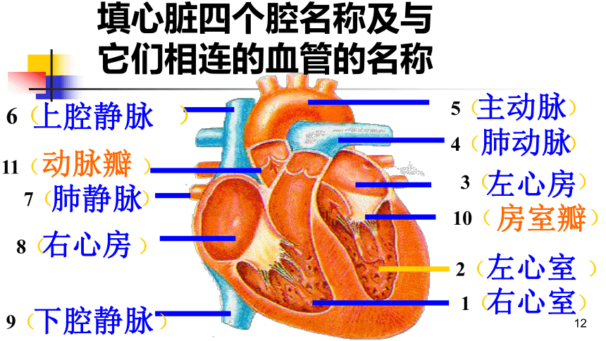 肺细胞角蛋白高8点多危险吗_肺细胞角蛋白_肺细胞角蛋白高虚惊一场