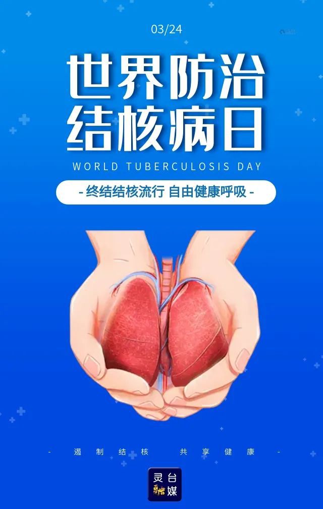 空洞型肺结核能活多久_空洞型肺结核能干活吗_肺空洞能结核活型治疗吗