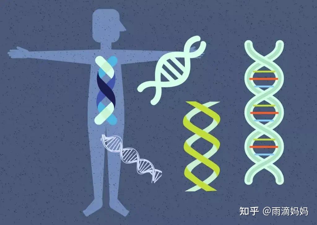 克罗恩病遗传吗_克罗恩病基因_克罗恩遗传大数据