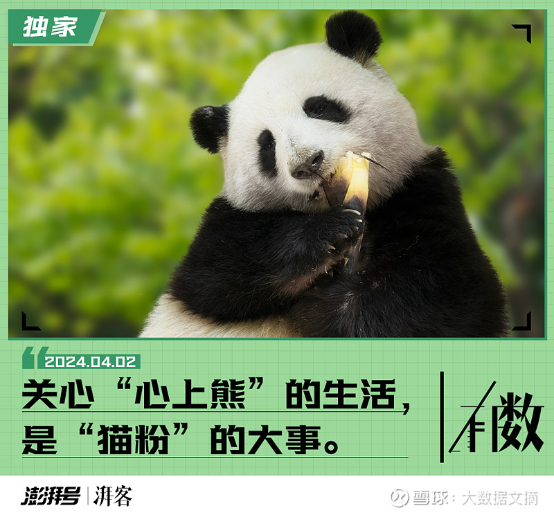 ecshop酒仙网模板_ecshop米奇网模板_米奇网怎么样