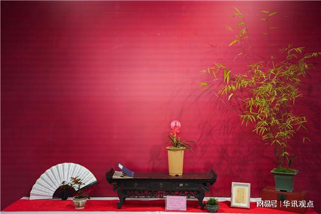 春兰绿云有什么特征_春兰绿云的优缺点_春兰绿云多少钱一苗