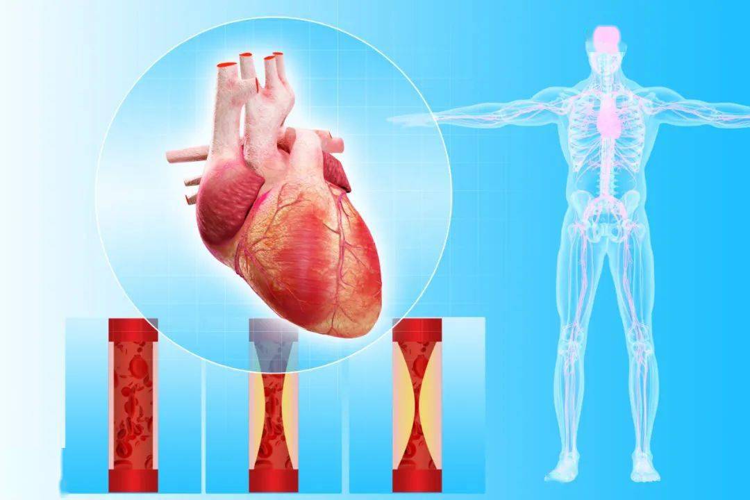 疾肺病偏方_食疗心偏方肺病有效吗_心肺病食疗偏方