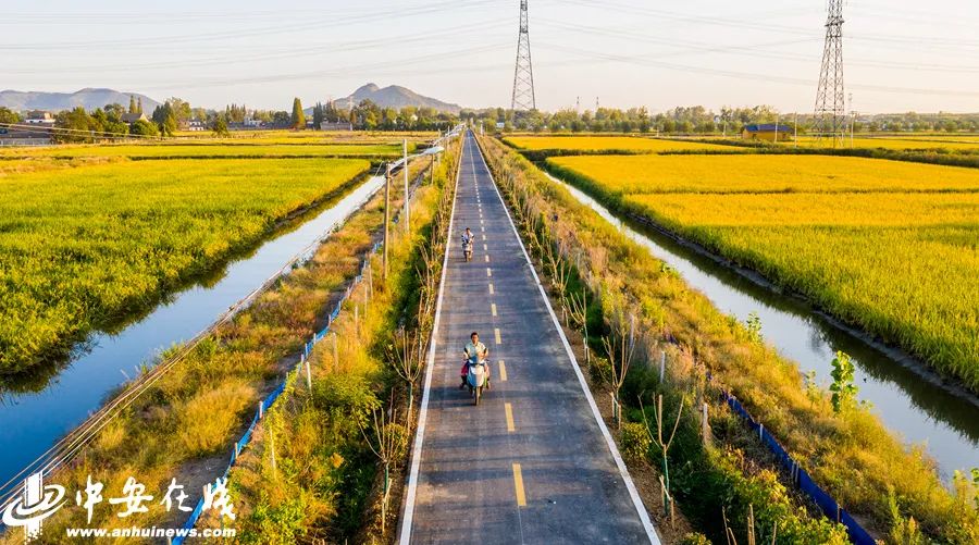 为乡村设计道路的意义_乡村道路设计平面图_乡村道路设计说明