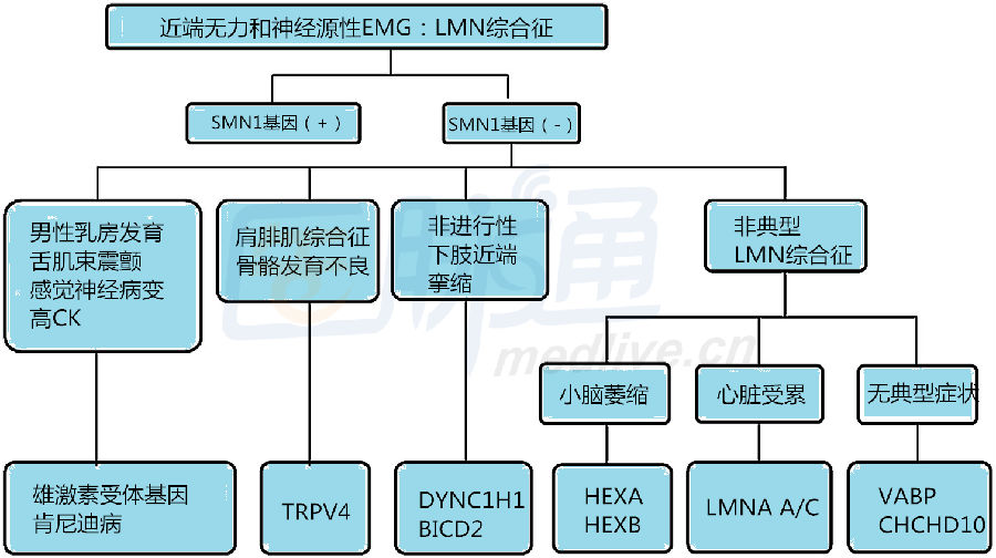 脊髓性肌萎缩症的临床实践指南_脊髓性肌萎缩症_脊髓性肌萎缩症是