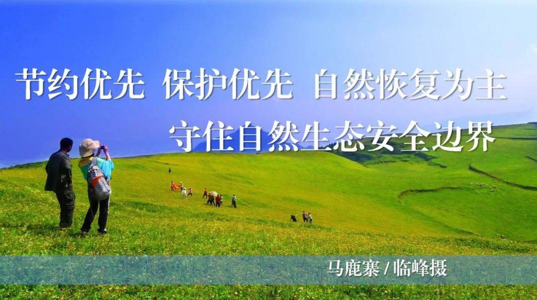 身份证号码名字地址大全_证件号码大全身份证姓名_证号码大全和真实名字