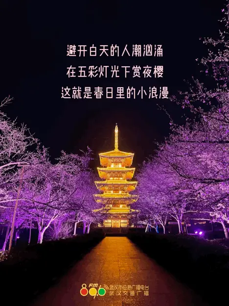 山东济南身份证号码和姓名_济南真实身份证号大全_济南身份证号