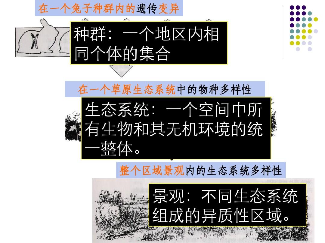 日本签证_日本投降日是哪一年几月几日_日本ecosystem