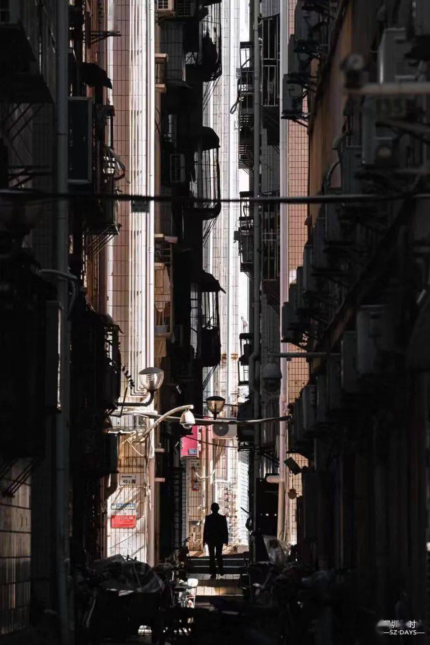 根据手机号查身份证_证查身份手机号怎么查询_证查身份手机号怎么查