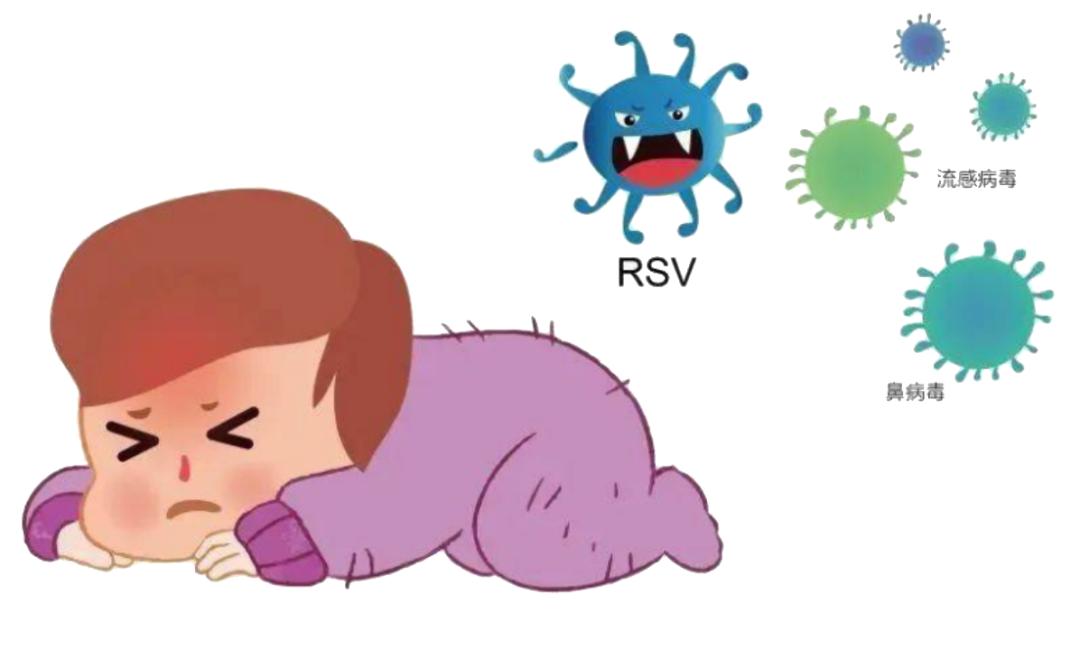 呼吸道合胞病毒rna_呼吸道合胞病毒英文_呼吸系统合胞病毒