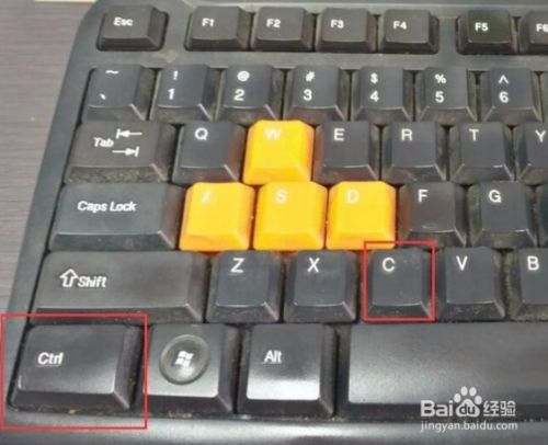 复制和粘贴是哪个键_区别于基本的ctrl+c/v复制。_复制与粘贴的快捷键是什么