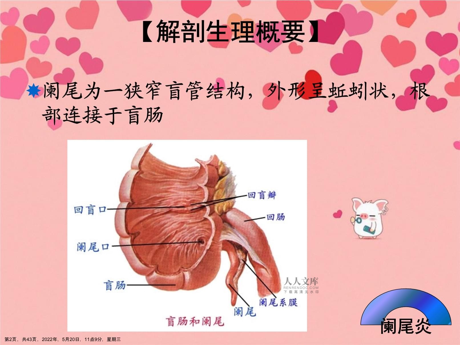 简述急性阑尾炎的护理措施_急性阑尾炎护理常规试题_急性阑尾炎术后护理简答题