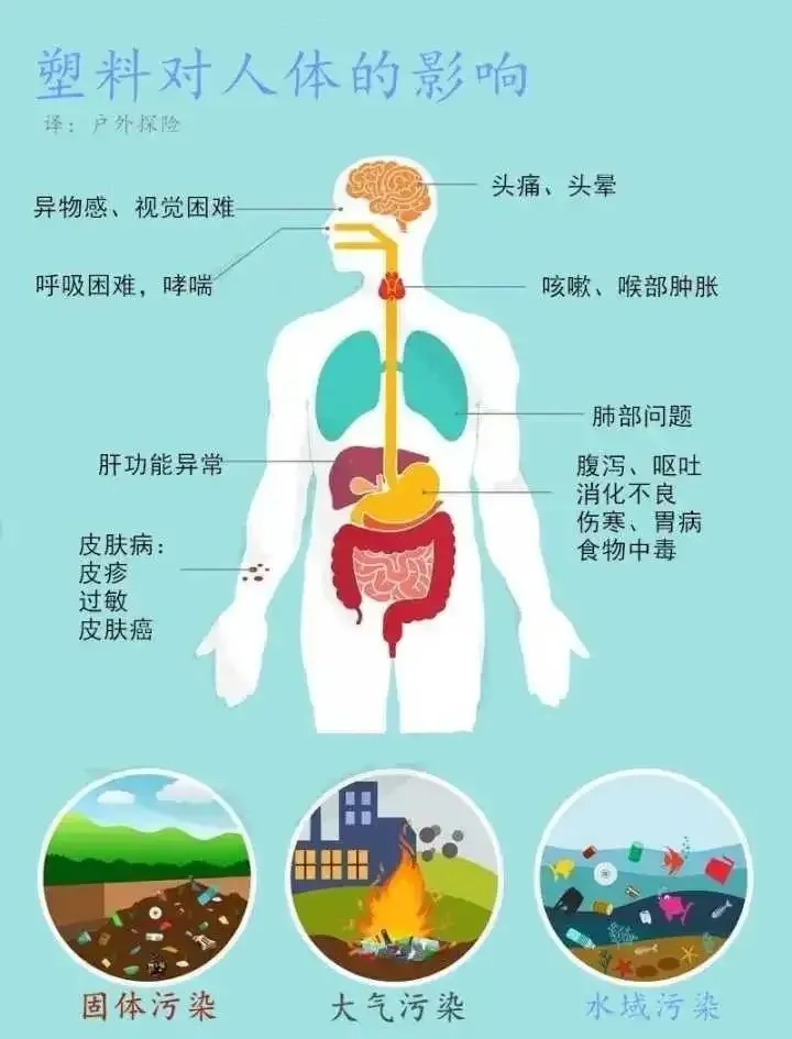 pollution可数吗_pollution是什么意思_可数名词和不可数名词