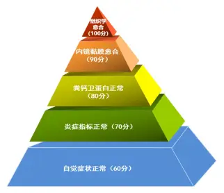 肠镜能确定克罗恩病吗_肠镜克罗恩病_克罗恩通过肠镜可以确认吗