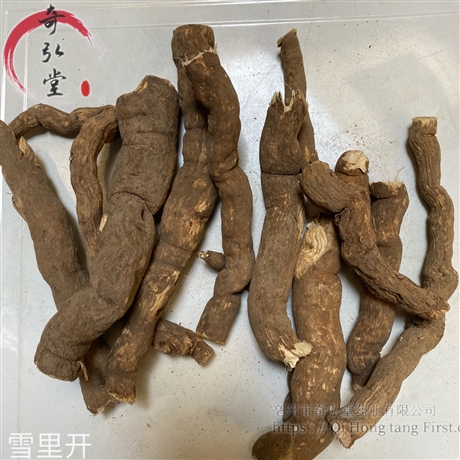 中药搜山虎的别名_中药搜山虎_中药搜山虎图片